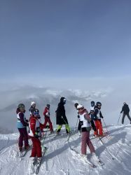 Img 4636