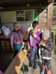 Img 4678