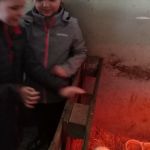 Img 20190401 110316