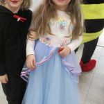 Img 8186